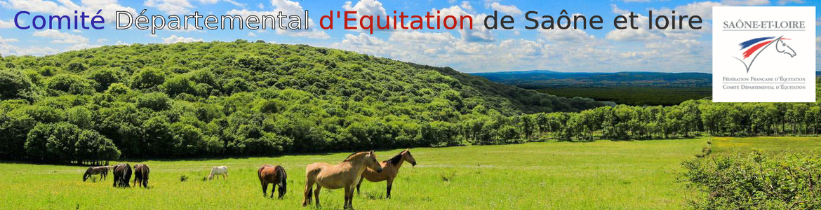 Comité Départemental d'Equitation de Saône et Loire